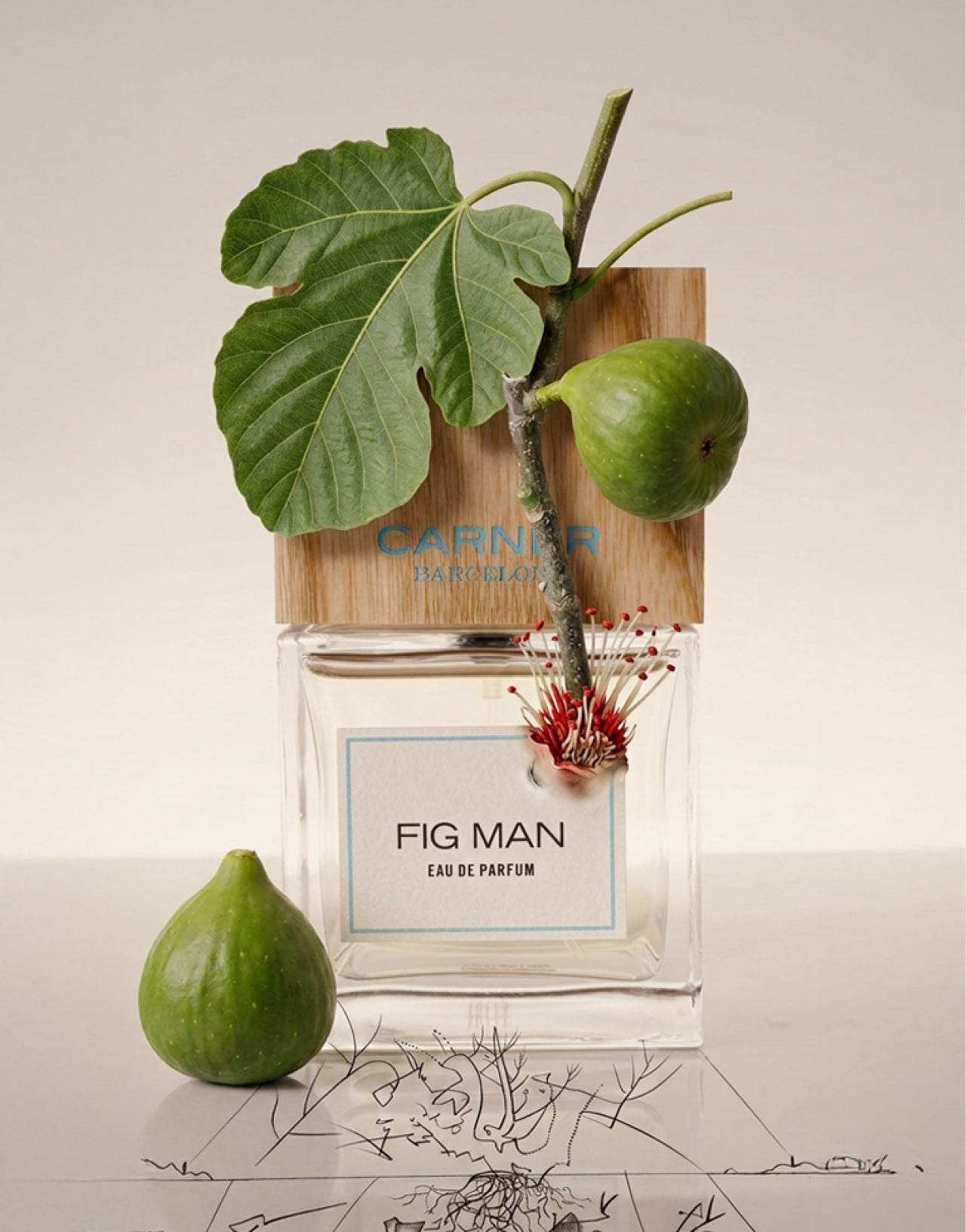 Carner Barcelona Fig Man Eau de Parfum 50 ml Feige