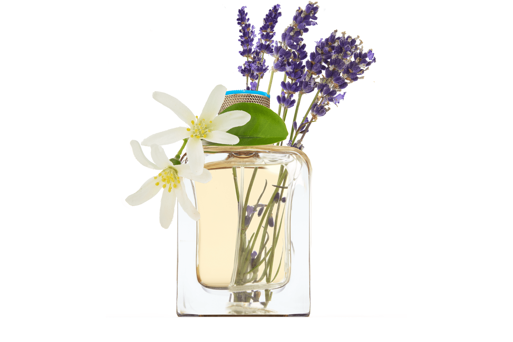 Veronique Gabai Eau d'Azur Eau de Parfum 85ml Frisch Citrus