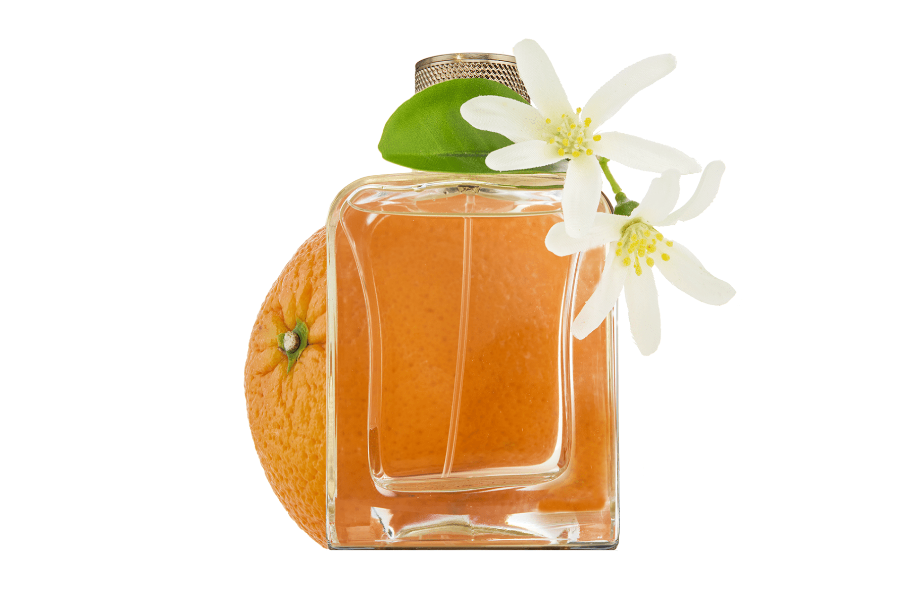 Veronique Gabai Souvenirs de Tunisie Parfum 85 ml blumig