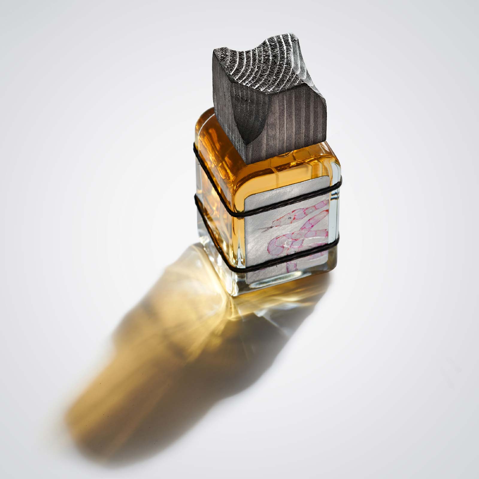Mendittorosa Versi Orlo Eau de Parfum 100ml Unisex Blumig-Holz