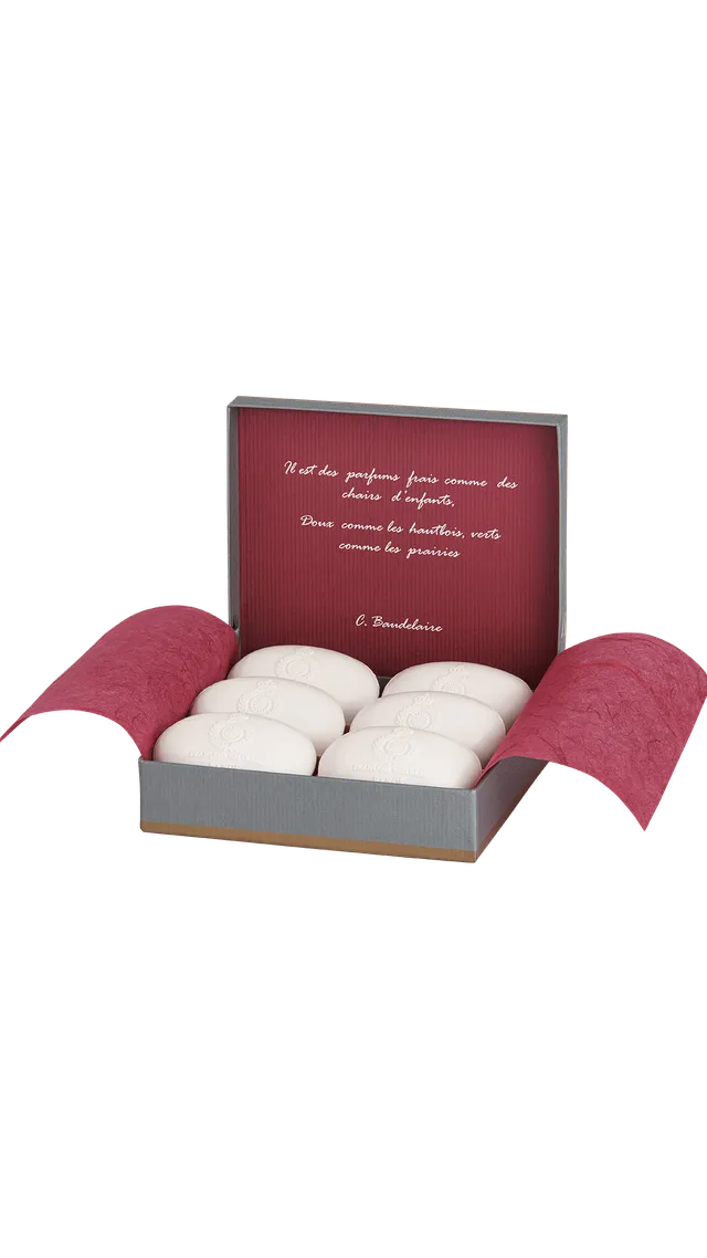 Rancé François Charles Parfumseife 6x100 g Fougère-holzig