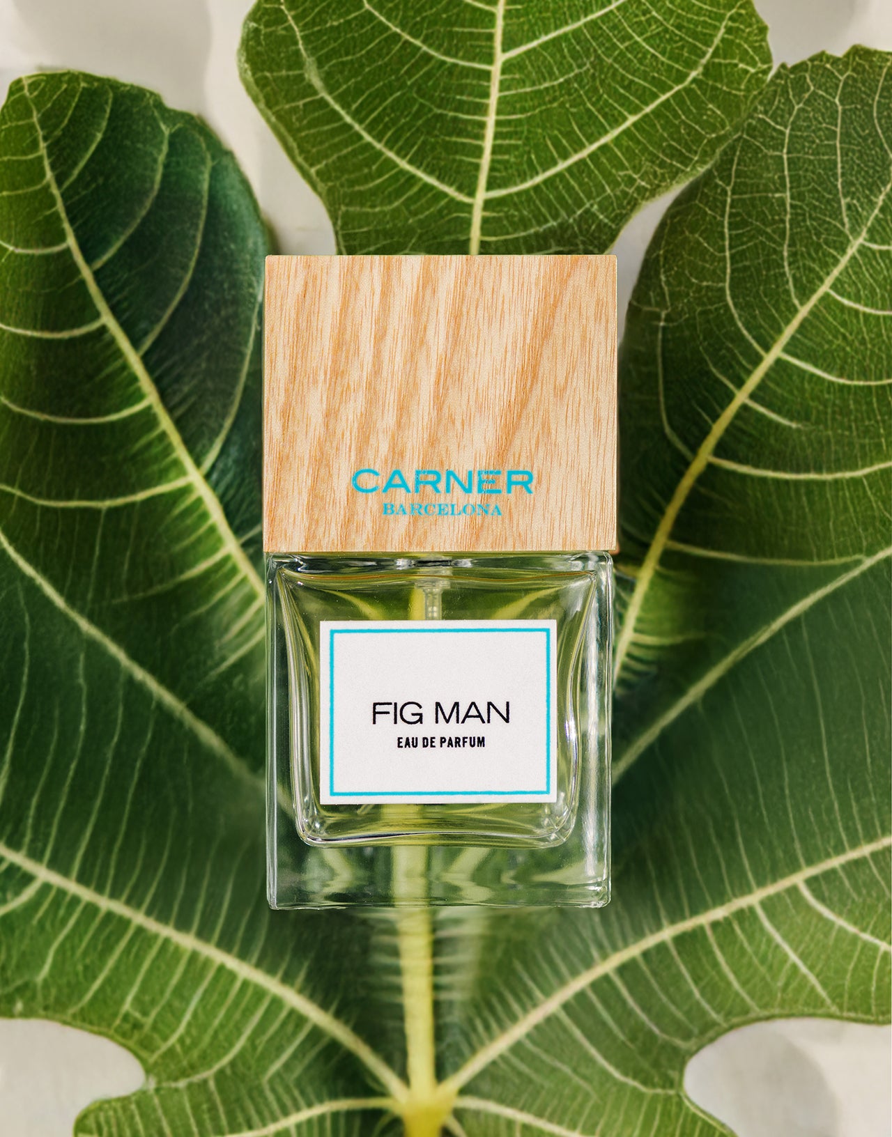 Carner Barcelona Fig Man Eau de Parfum 100 ml Feige