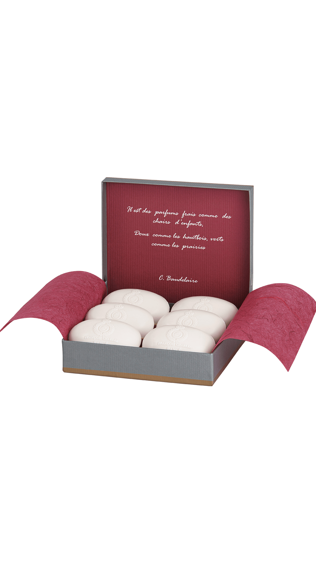 Rancé François Charles Parfumseife 6x100 g Fougère-holzig