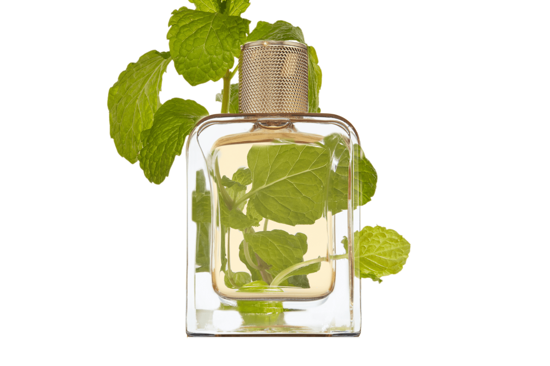 Veronique Gabai Vert Désir Eau de Parfum 85ml Frisch Grün